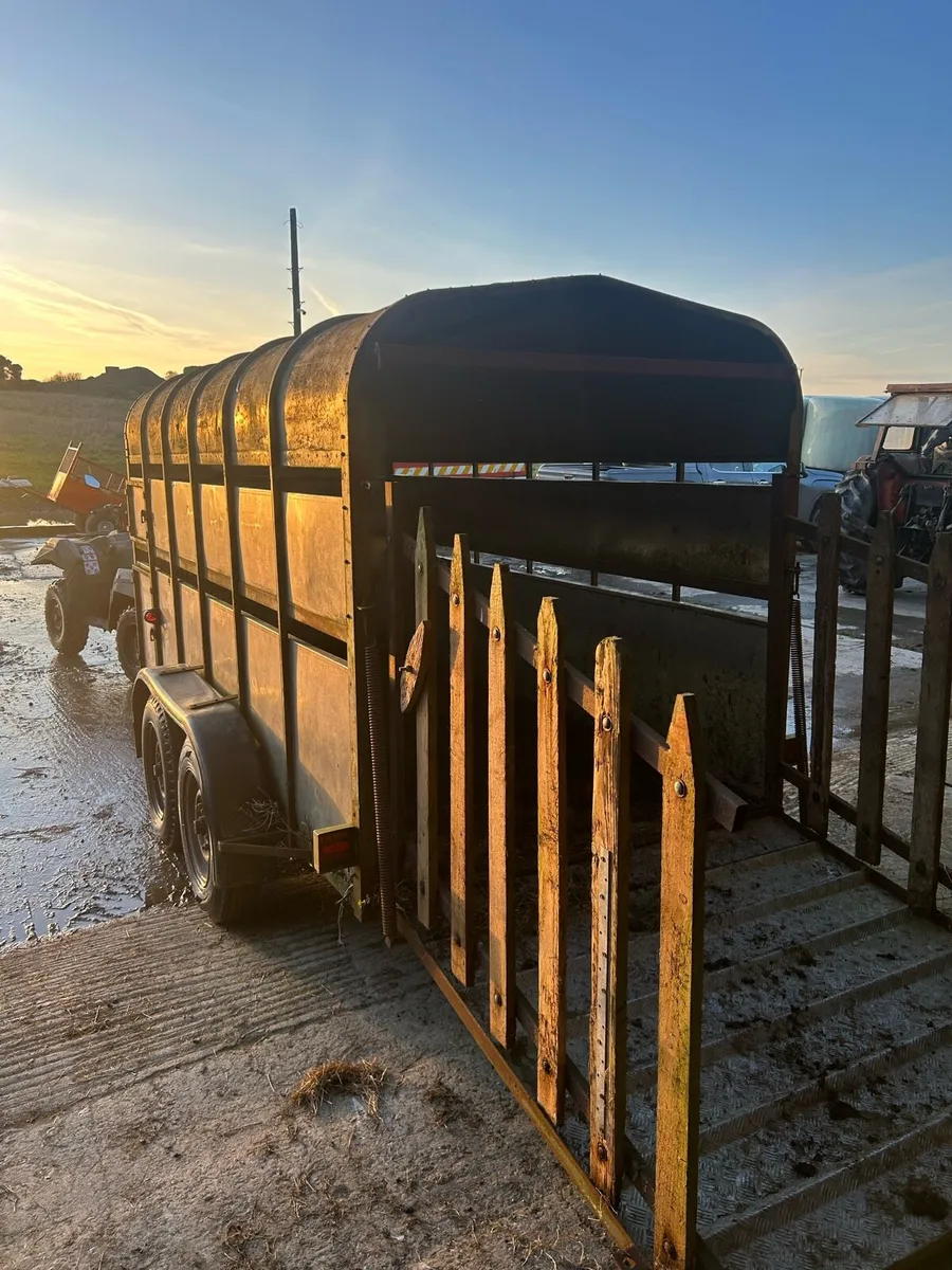 Cattle trailer - Image 4