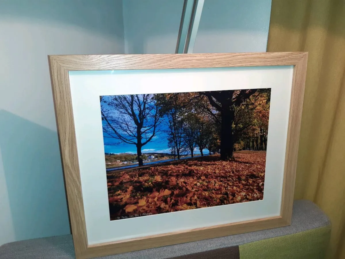 The Marina, Cork - Image 3