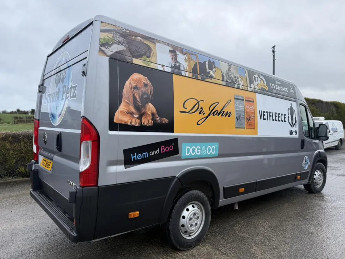 2023 Vauxhall Movano **Online Auction** - Image 4