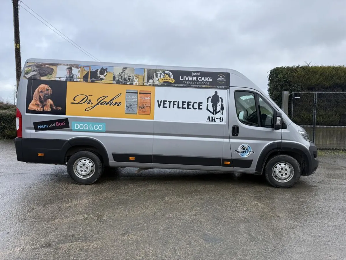 2023 Vauxhall Movano **Online Auction** - Image 3