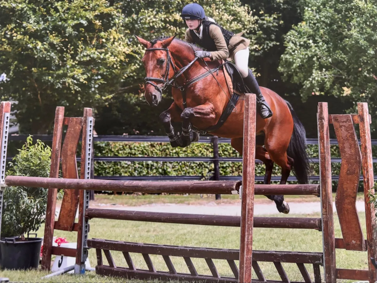 ⭐️148 Jumping Pony⭐️ - Image 2