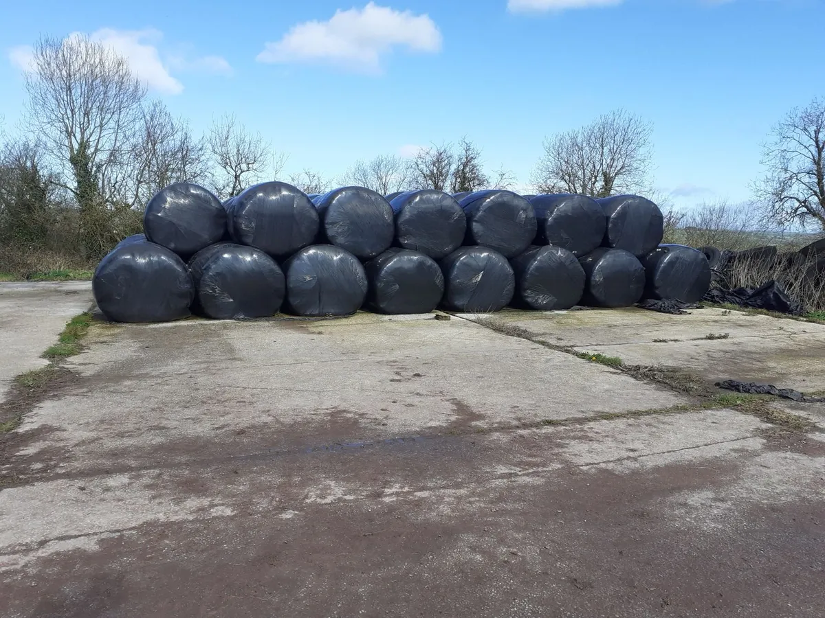 Baled silage