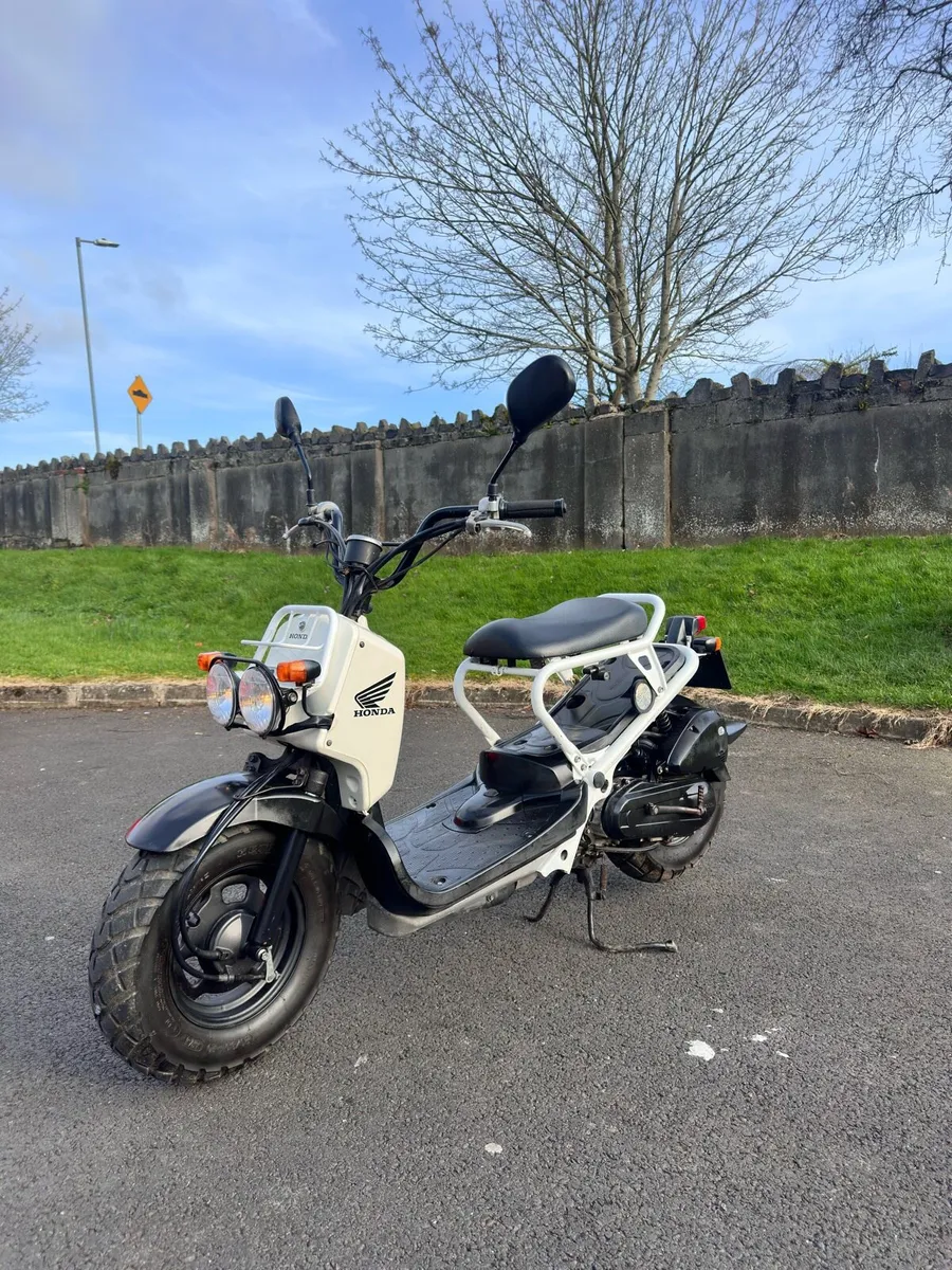 Honda Zoomer - Image 1