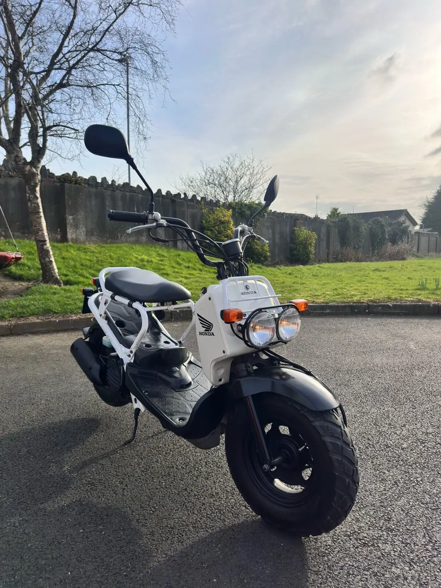 Honda Zoomer - Image 2