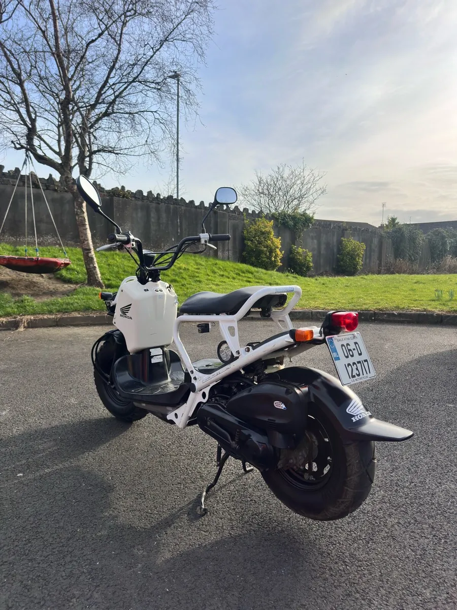 Honda Zoomer - Image 3