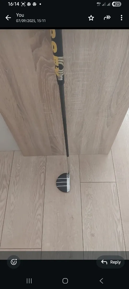 Golf putters - Image 1