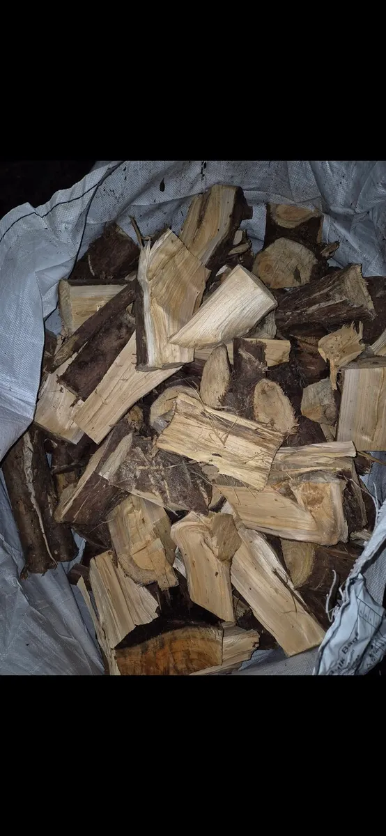 Seasoned Fire Wood - Image 2