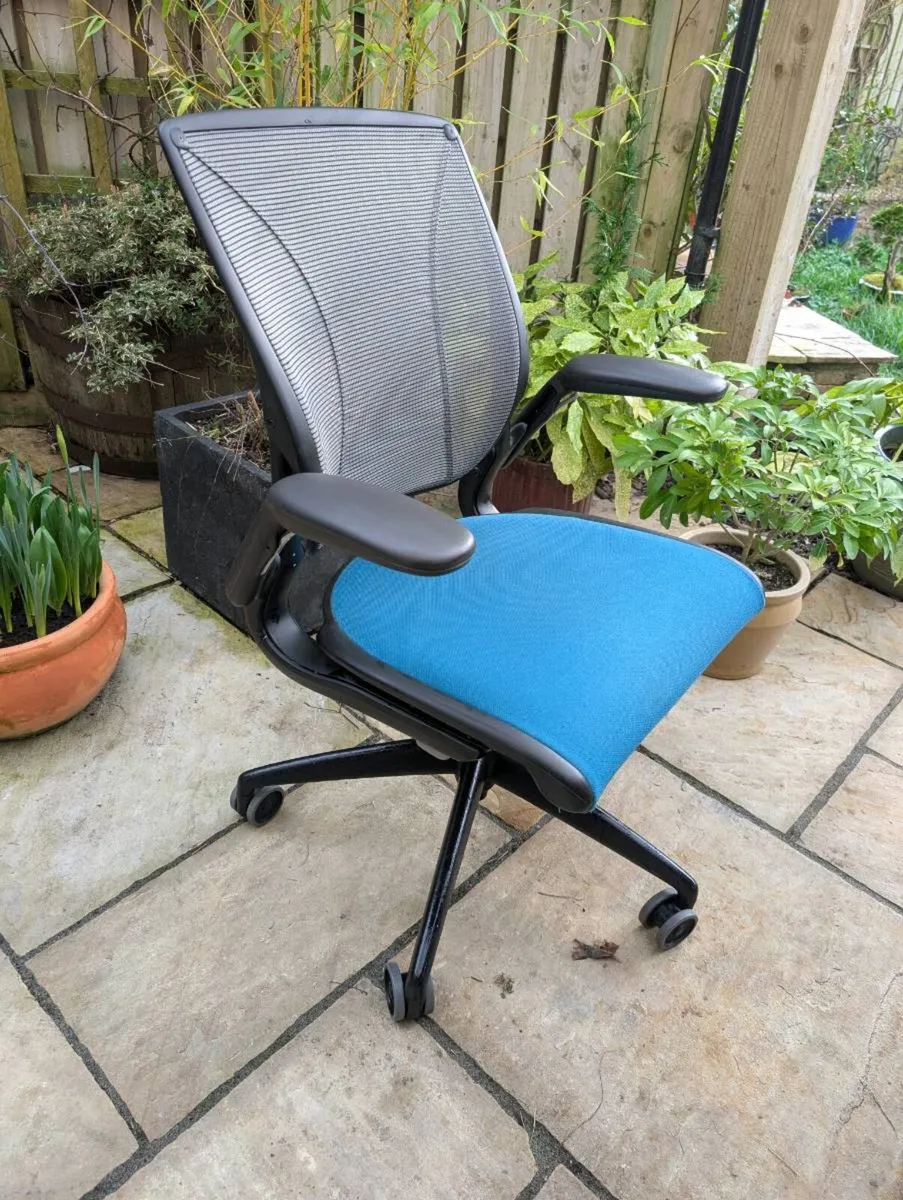 Ergonomic office chair - Image 1