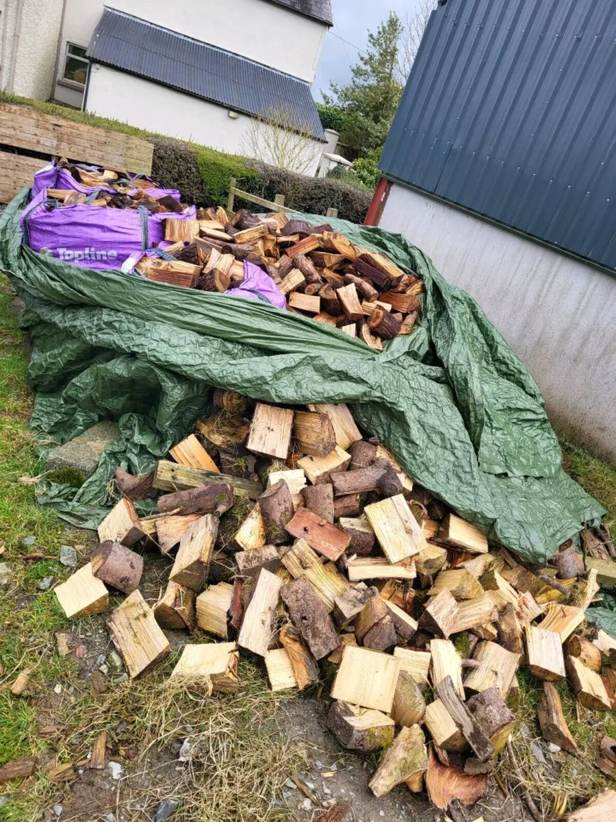 Softwood firewood need gone - Image 1