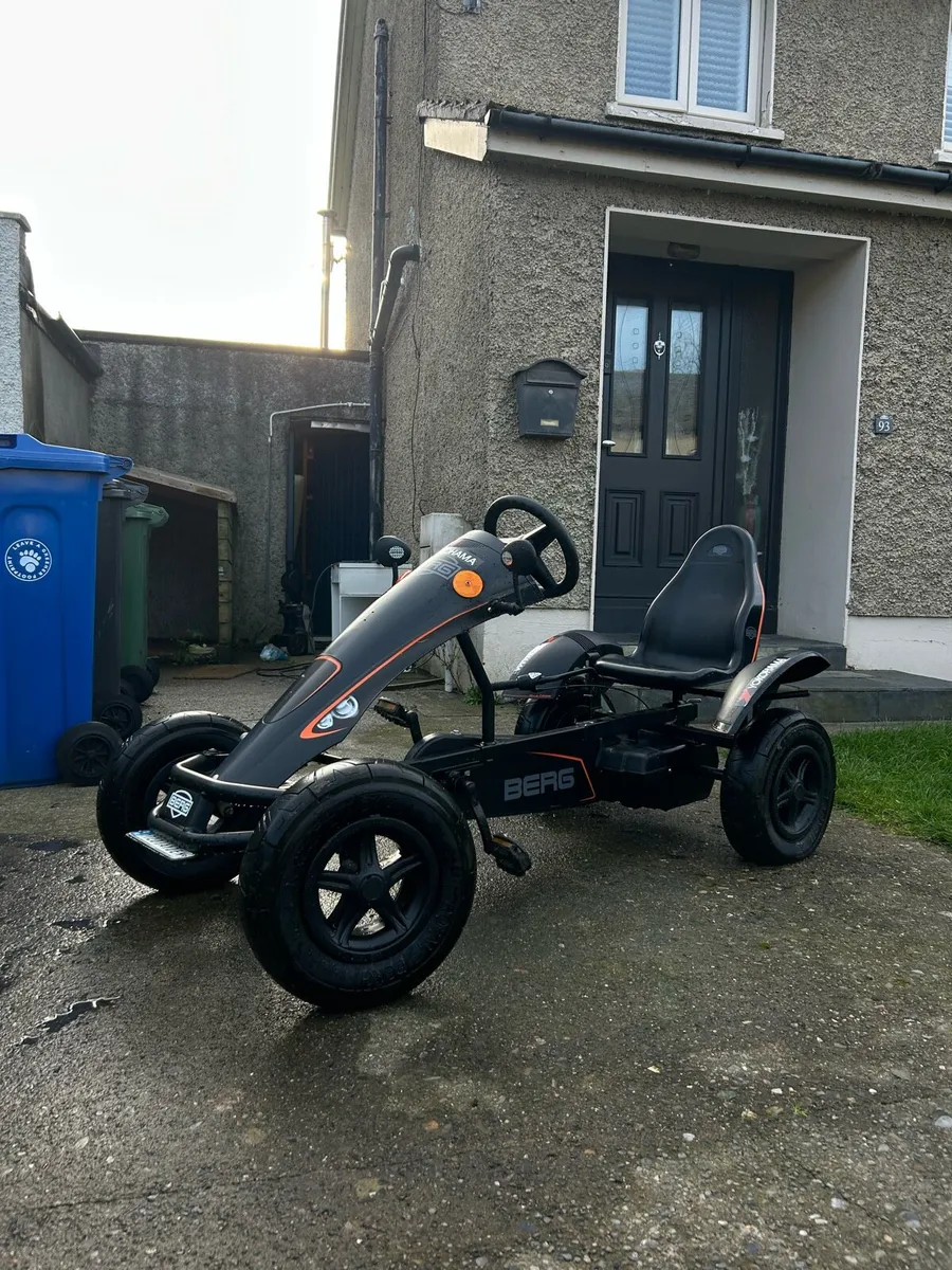 Top of the range Berg BFR-3 Go Kart - Image 1