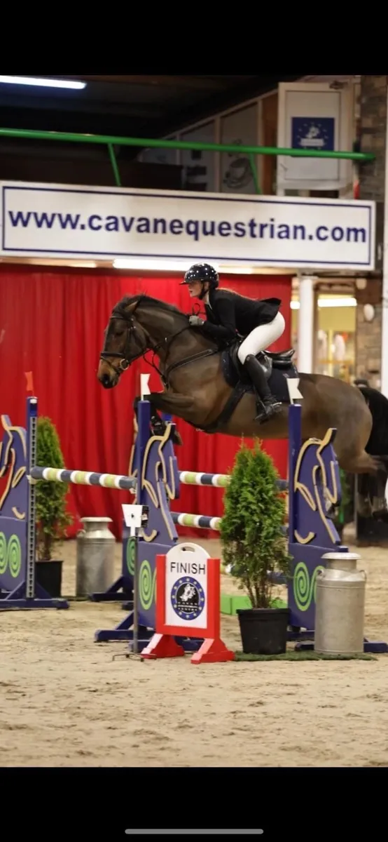 ⭐️148 Jumping Pony⭐️ - Image 1