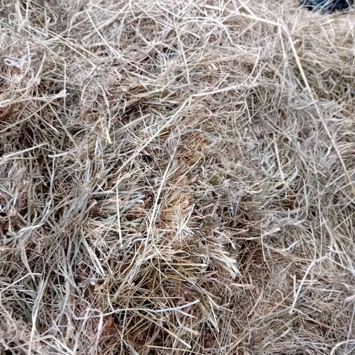 Quality silage for sale - Image 1