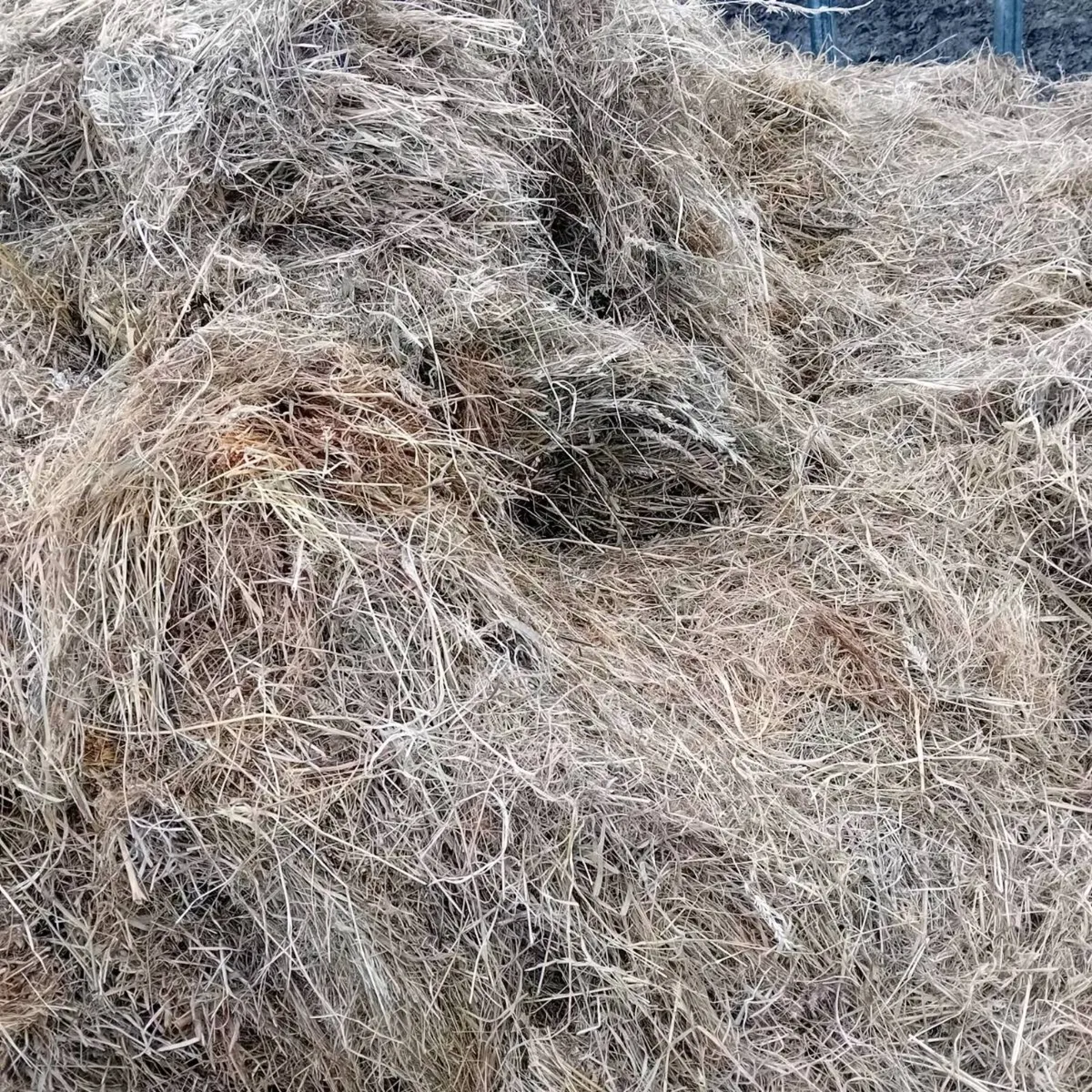 Quality silage for sale - Image 2