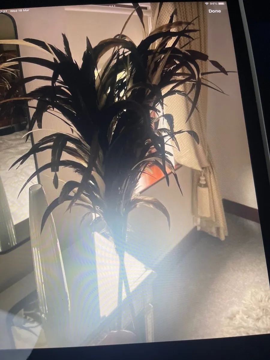 Tall glass feather arrangement - Image 4