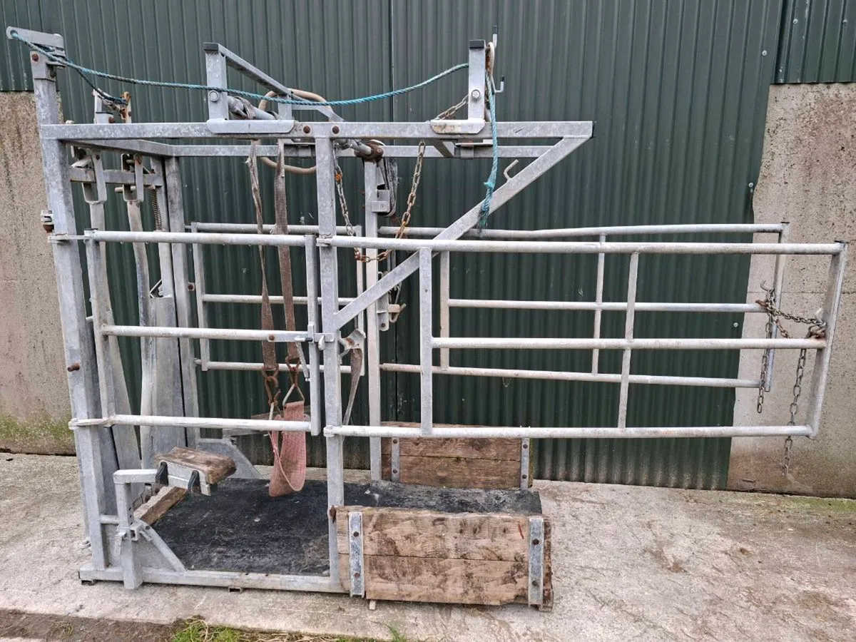 Mobile cattle crush - Image 1