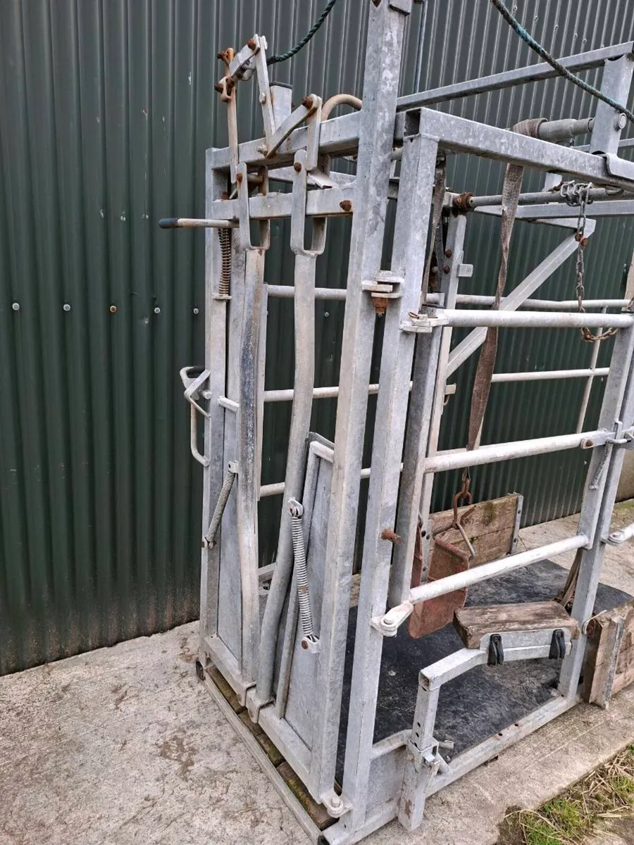 Mobile cattle crush - Image 2