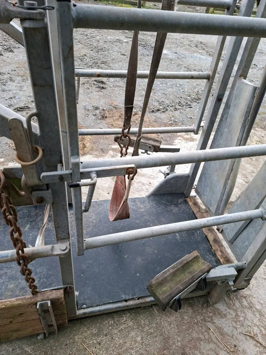 Mobile cattle crush - Image 3