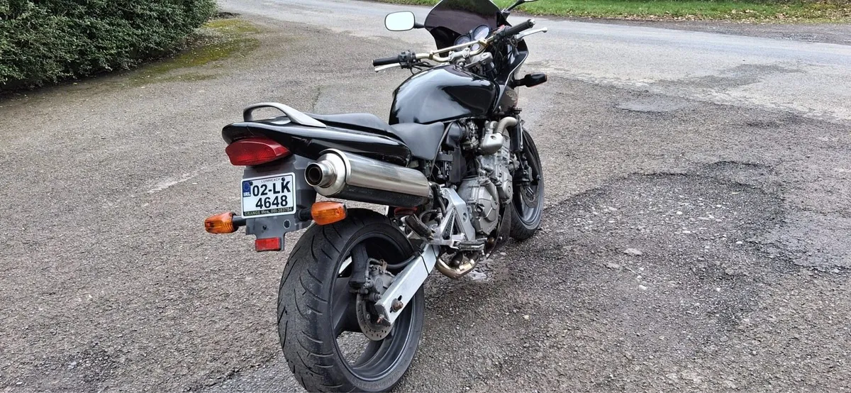 Honda hornet - Image 4