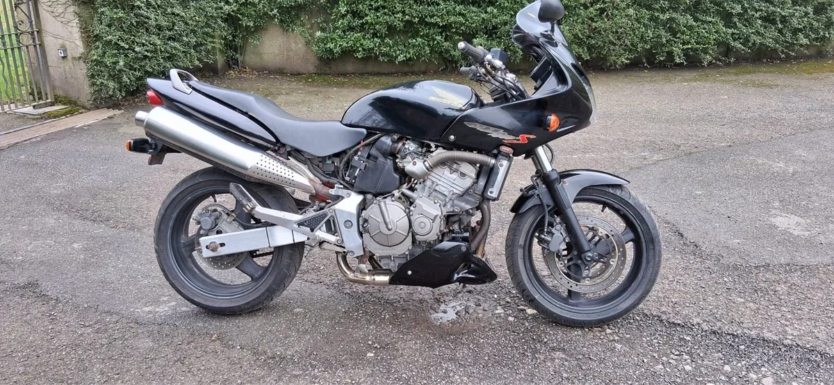 Honda hornet - Image 3