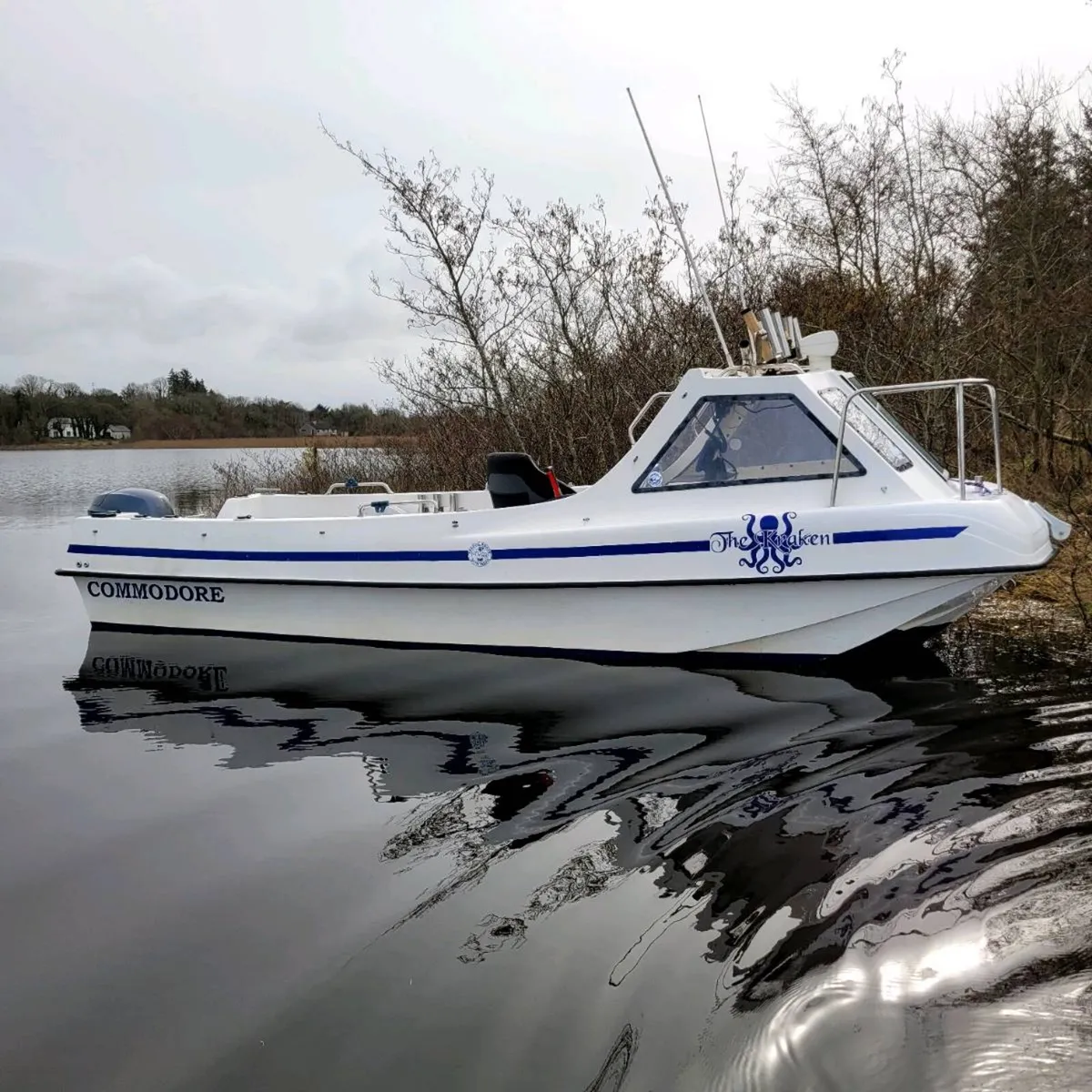 Seahog Commodore Yahama 60hp efi 4 stroke package - Image 3