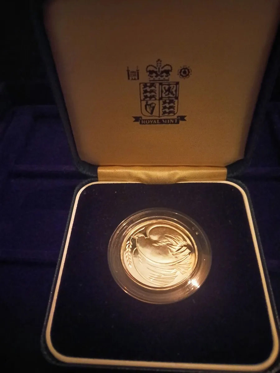 Sterling Silver Proof 1995 Peace £2 coin - Image 1