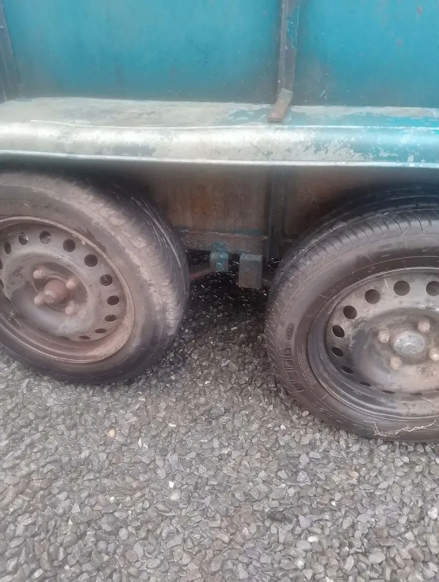 Cattle trailer - Image 2