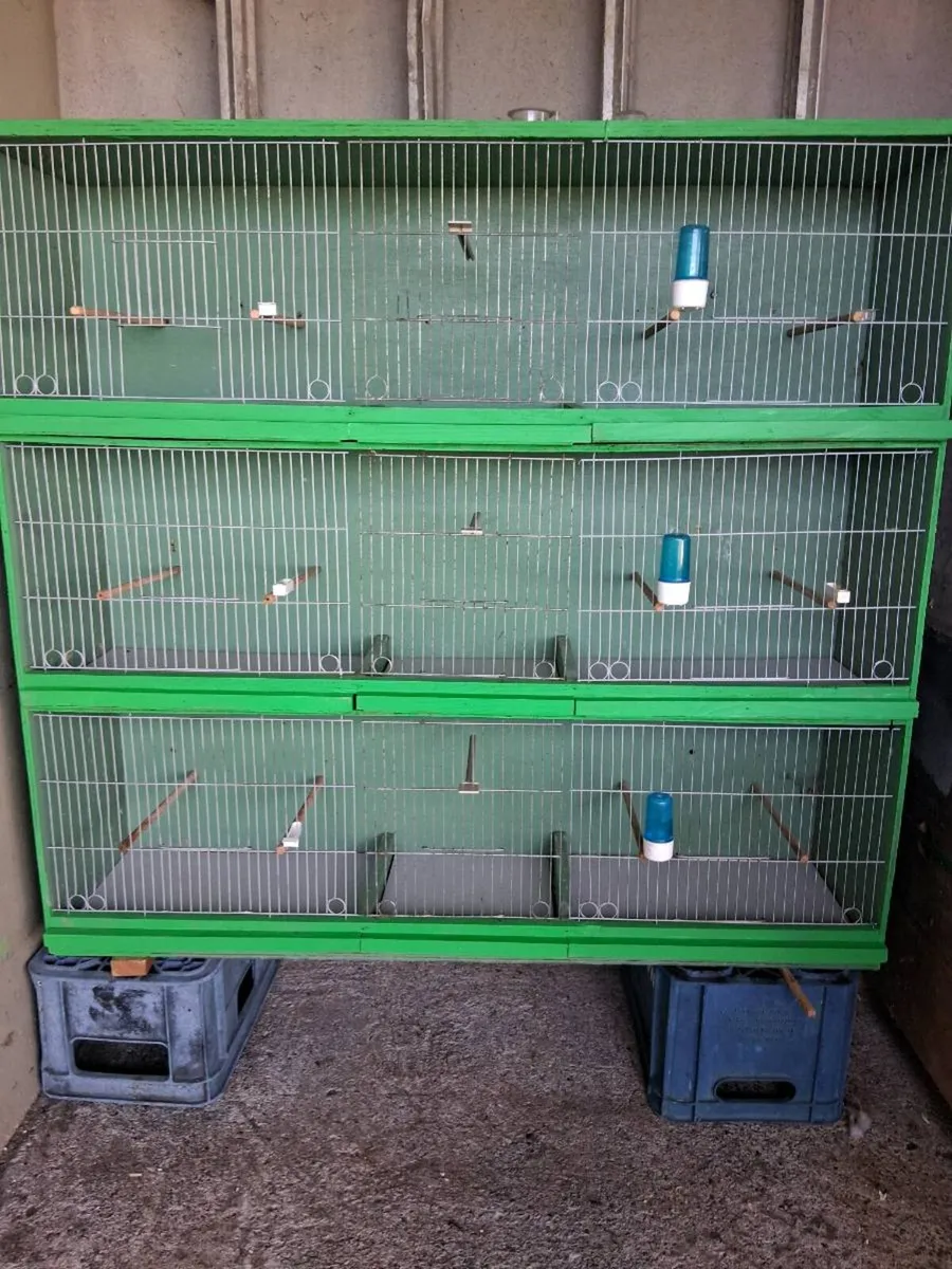 Breeding Cages - Image 1
