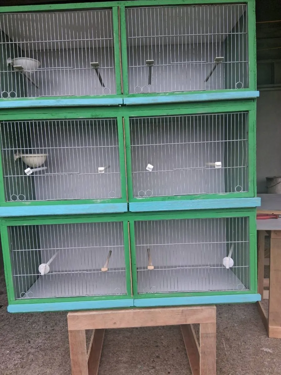 Breeding Cages - Image 2