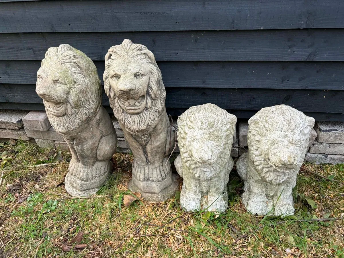 4 concrete lion garden statues - Image 3