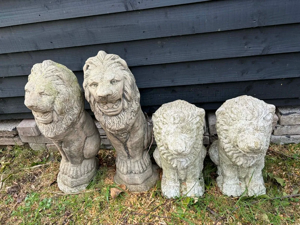 4 concrete lion garden statues - Image 4