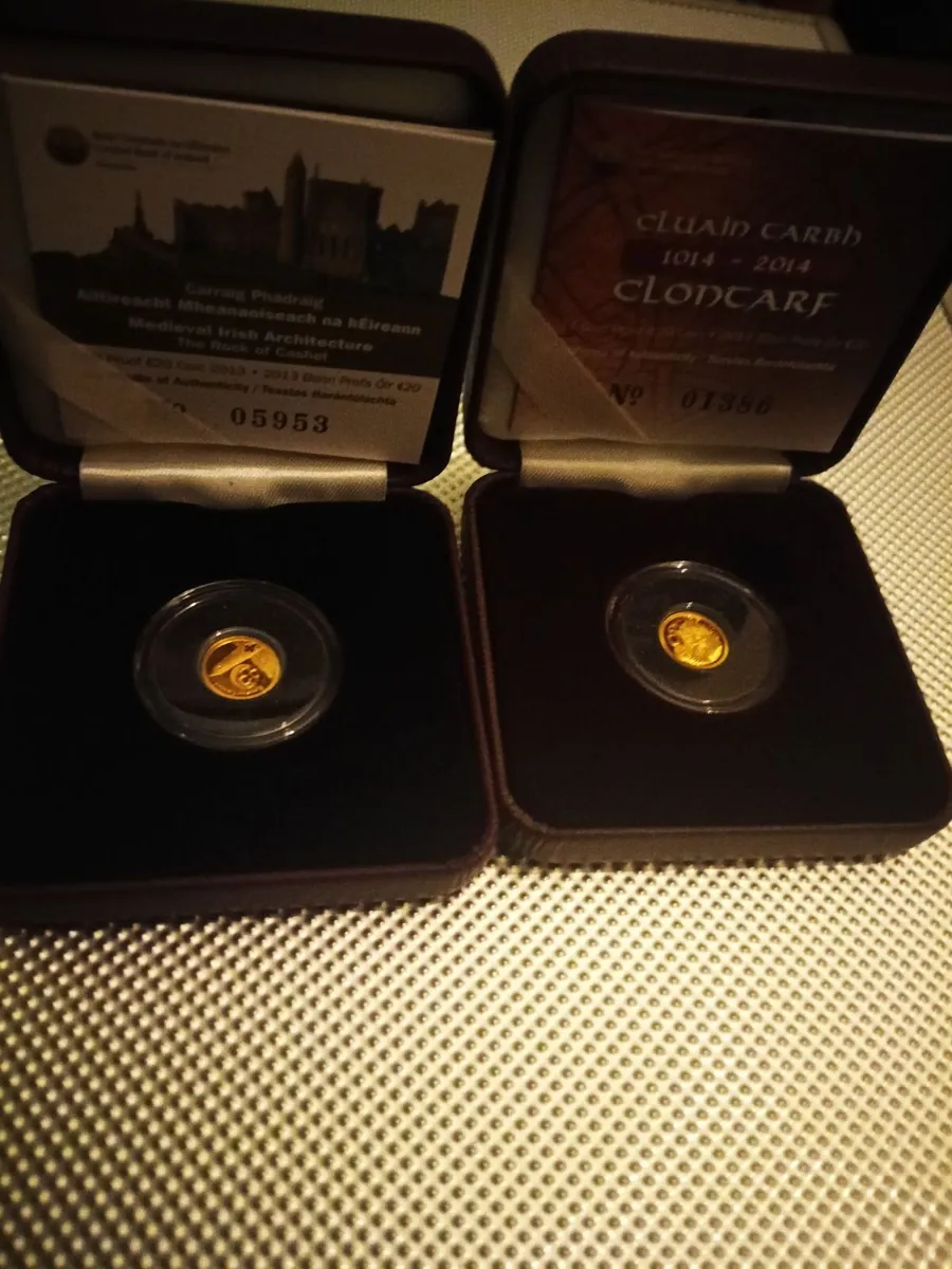 2013/14 Irish €20 Pure Gold coins .999 - Image 1