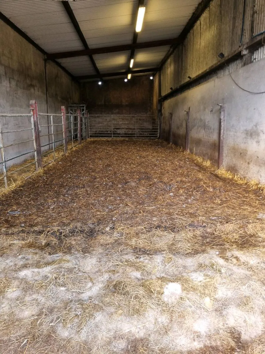 Powerwashing - Image 1