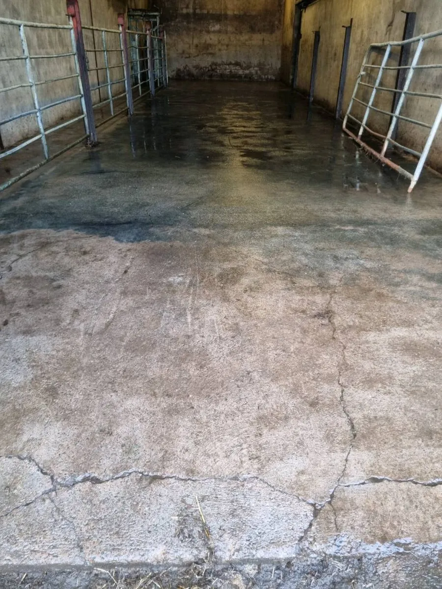 Powerwashing - Image 2