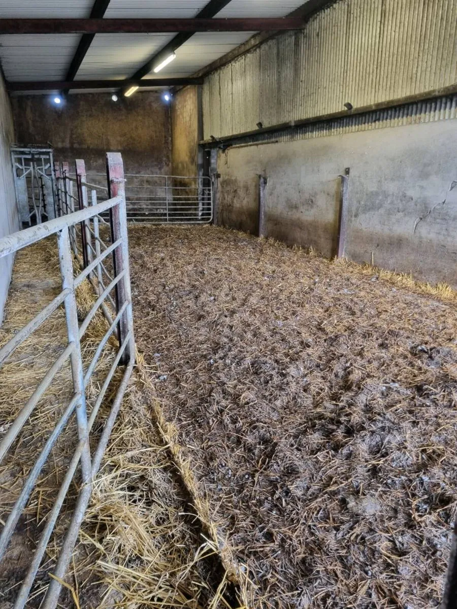 Powerwashing - Image 3