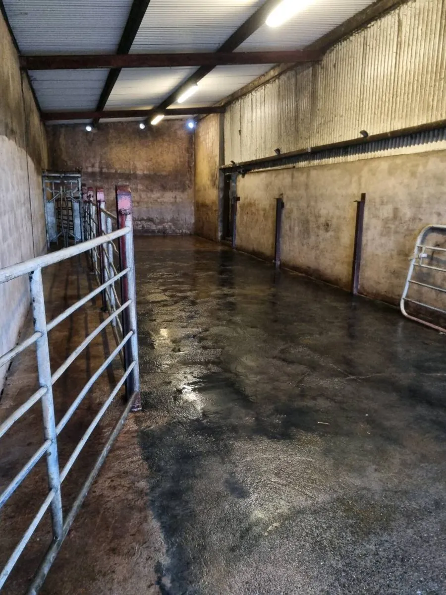 Powerwashing - Image 4