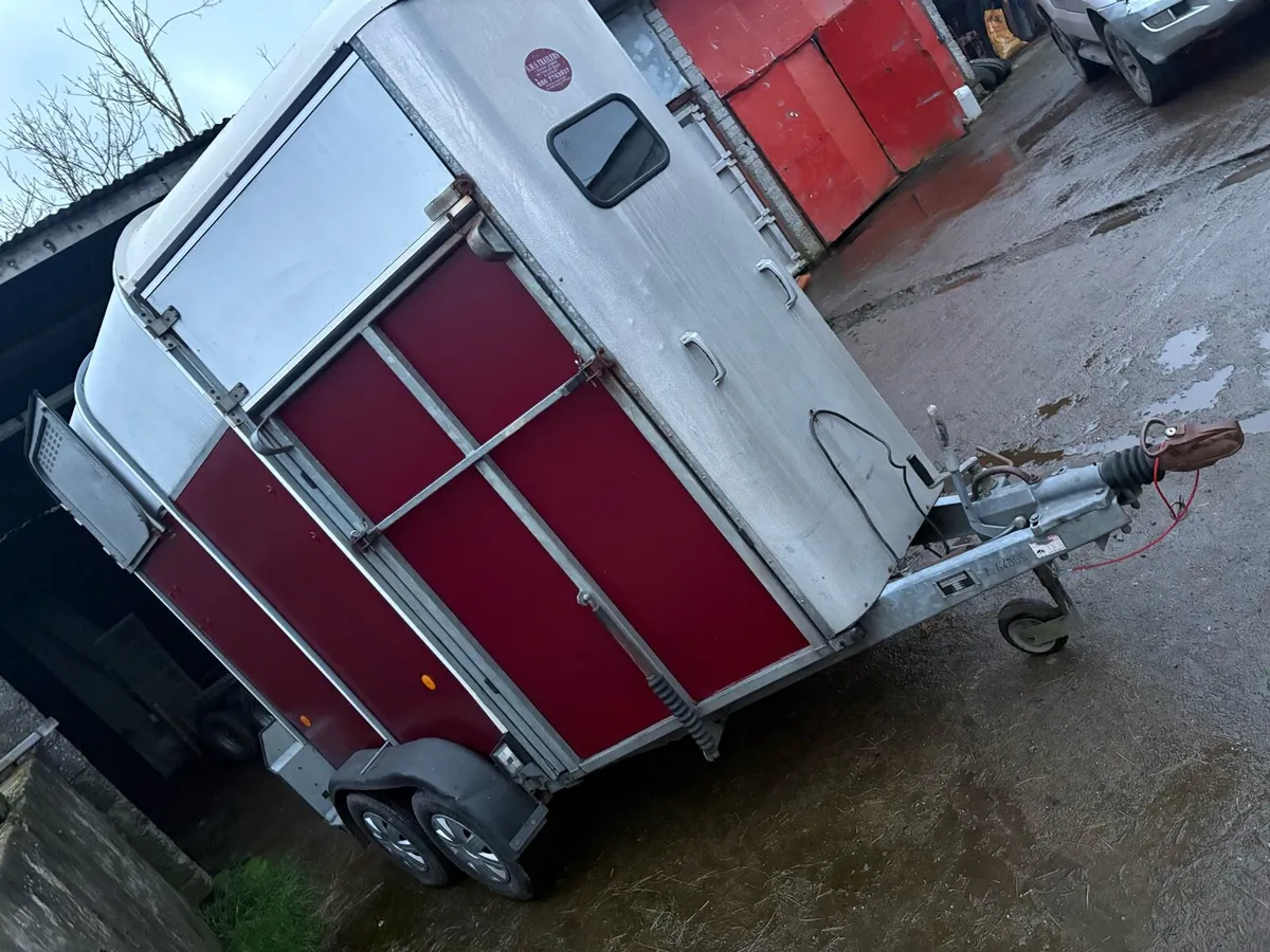 505 for Williams horse box - Image 3