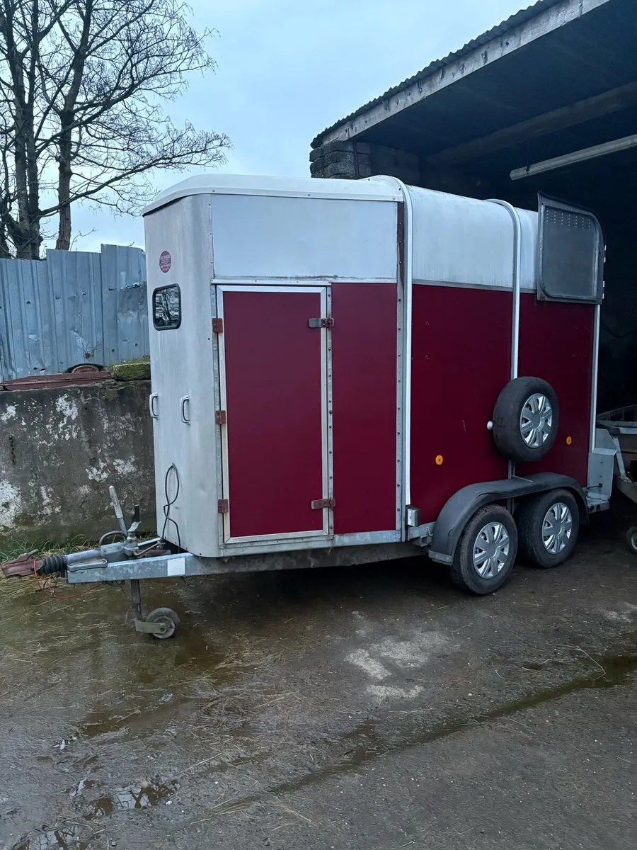 505 for Williams horse box - Image 1