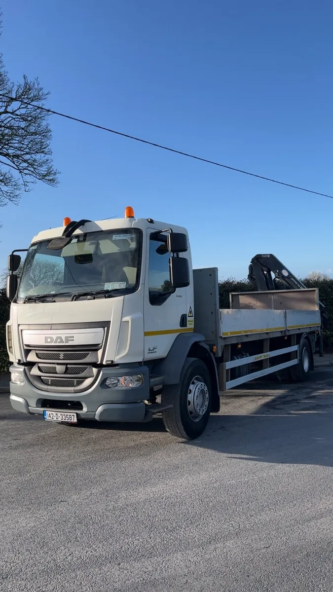 DAF LF250 - Image 2