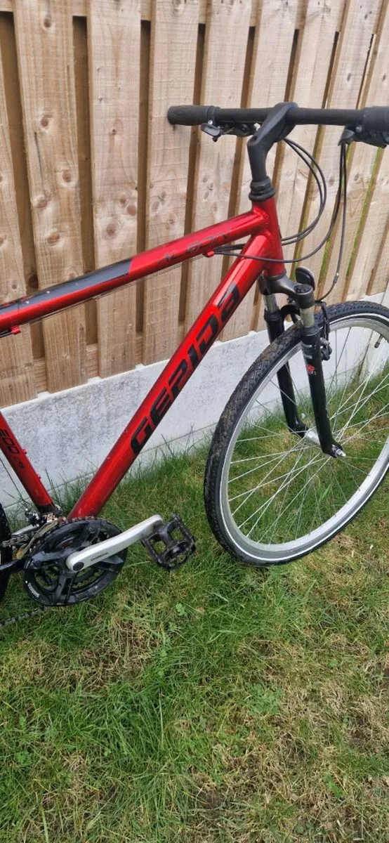 Gepida hybrid bike ( serviced )( delivery ) - Image 2