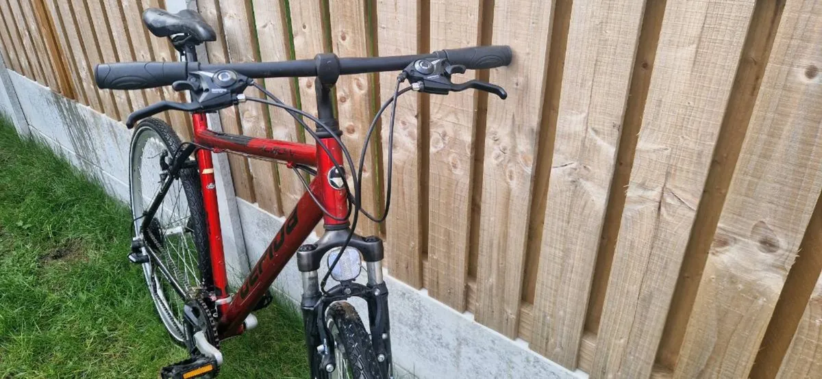 Gepida hybrid bike ( serviced )( delivery ) - Image 4