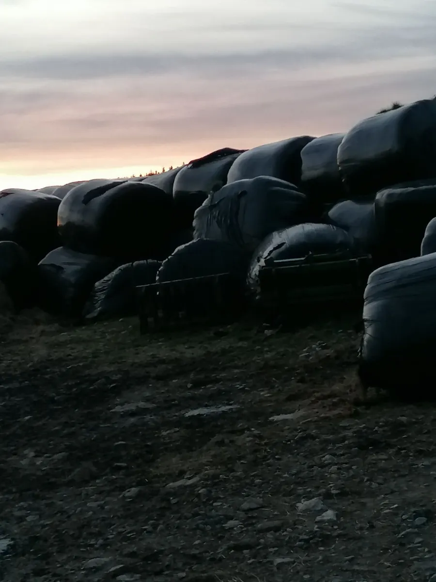 Free silage bales - Image 2