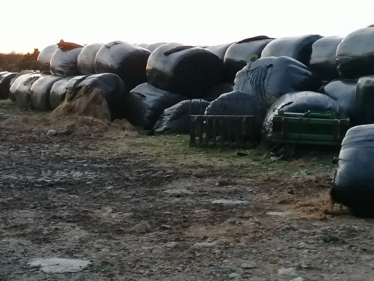 Free silage bales - Image 1