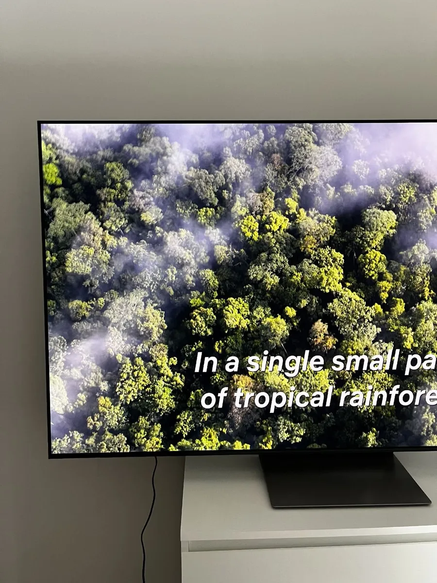 Samsung S90F 65" 4K OLED Smart TV QE65S90 - Image 3