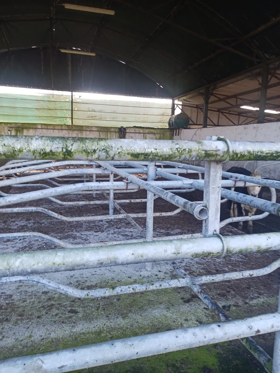 Farm Shed Cubicles - Image 1