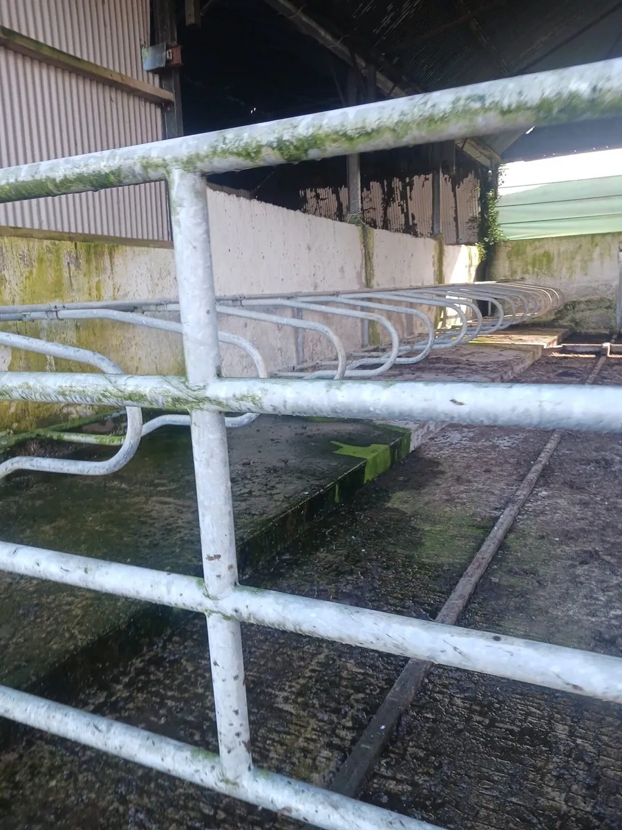 Farm Shed Cubicles - Image 2