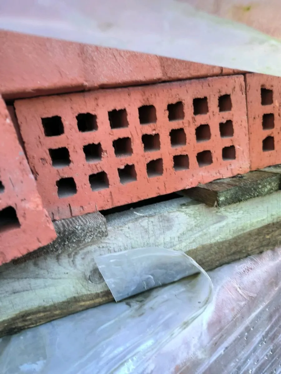 Clay bricks 60 cent each !!!! - Image 4
