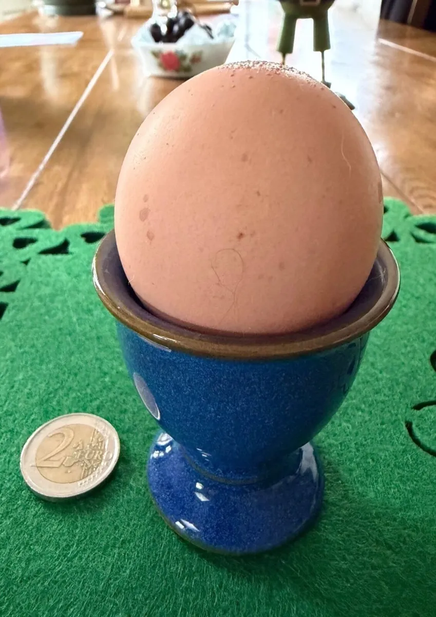 Rare Spherical Hen Egg - Image 2