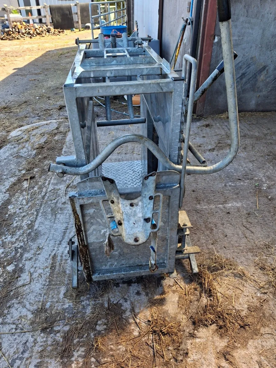 Calf crate - Image 3