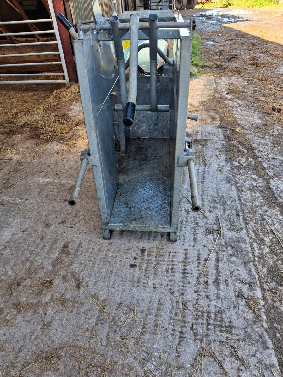 Calf crate - Image 4