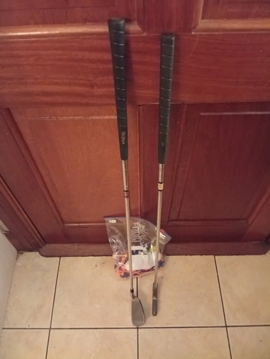 Left Handed pitch&Putt Set&6 Balls& 100 Tees - Image 1